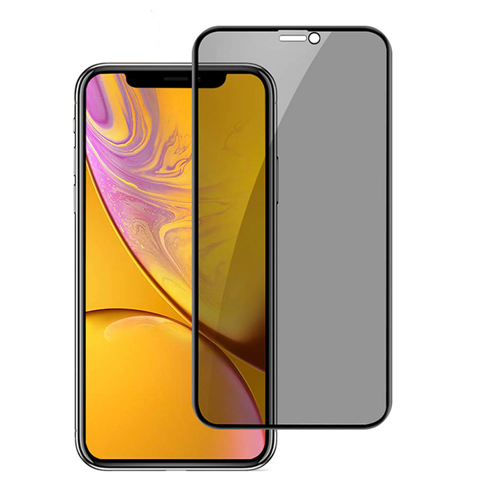 Wholesale iPhone X Xs XR Xs Max 3D privacy full cover tempered glass sceen guard 