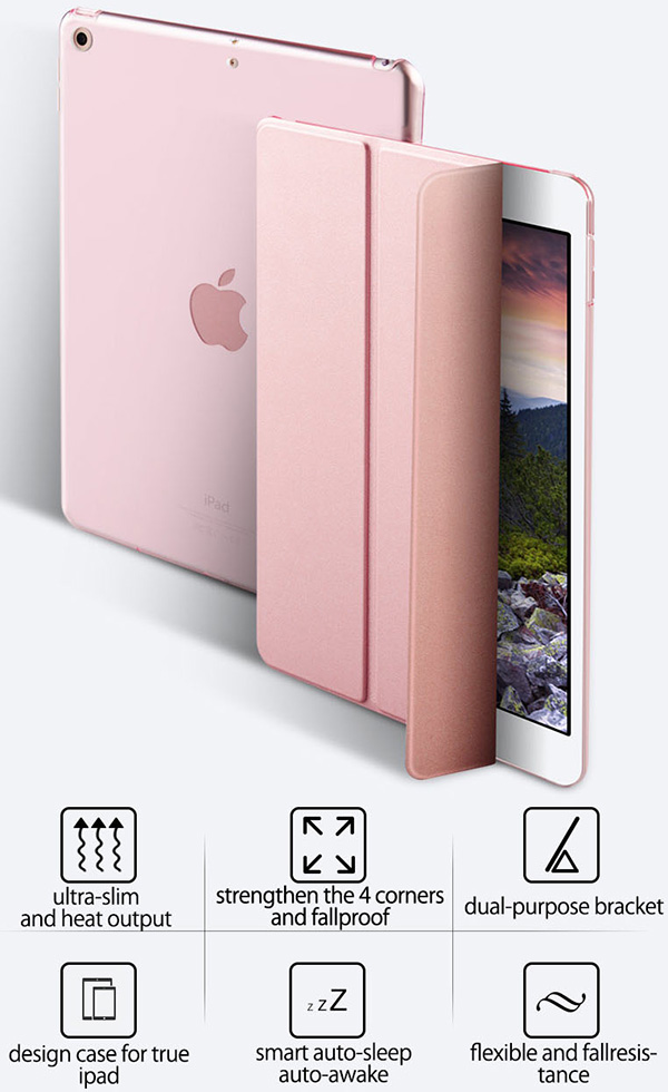 iPad Air étui en cuir de soie.jpg