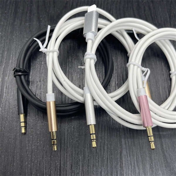 lightning to aux cable.jpg