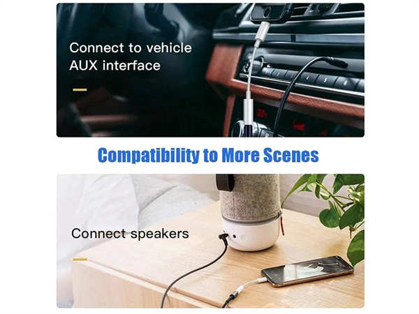 Lightning zu Aux Adapter.jpg