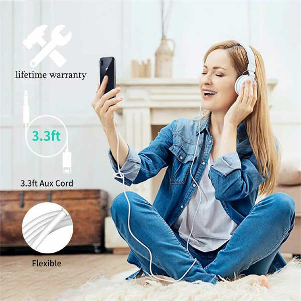 Lightning zu AUX Car Audio Kabel.jpg