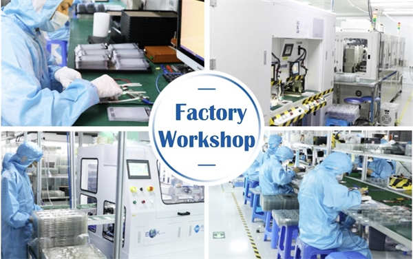 iPhone 12 Pro Max rückseite.jpg